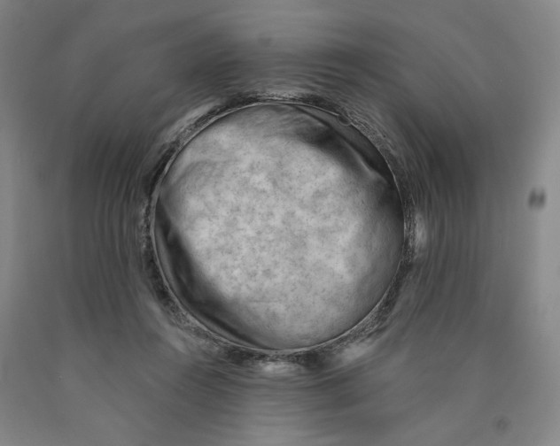 X0000089910360200707271719