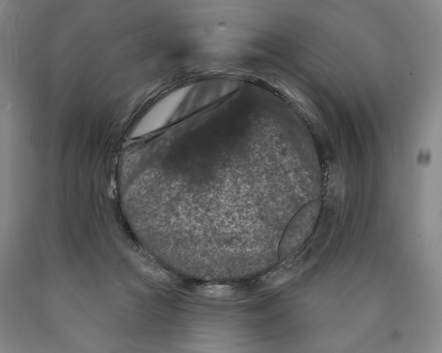 X0000089910361200707271719