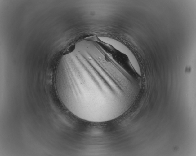 X0000089910368200707271719