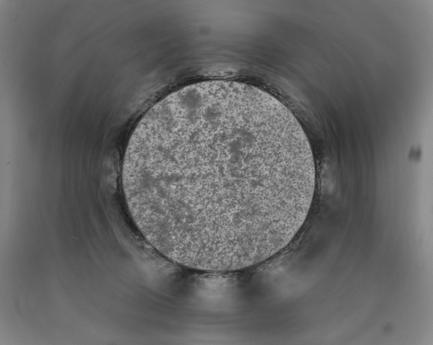 X0000089910370200707271719