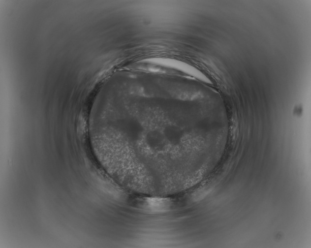 X0000089910371200707271719