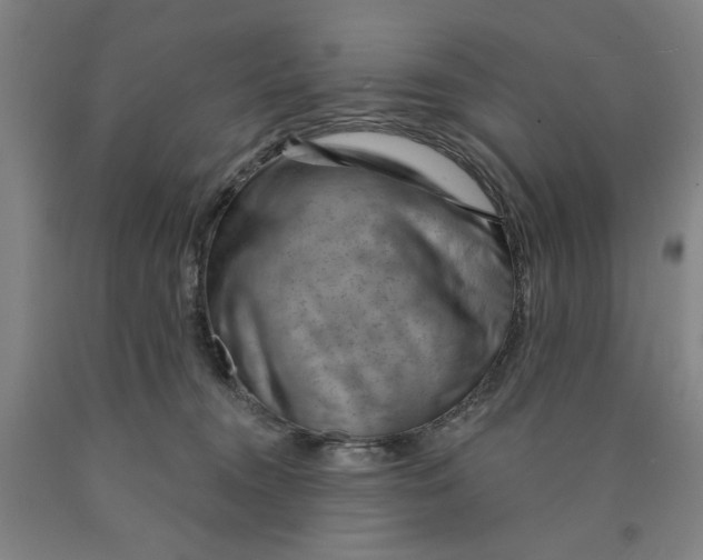 X0000089910372200707271719