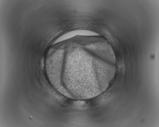 X0000089910374200707271719