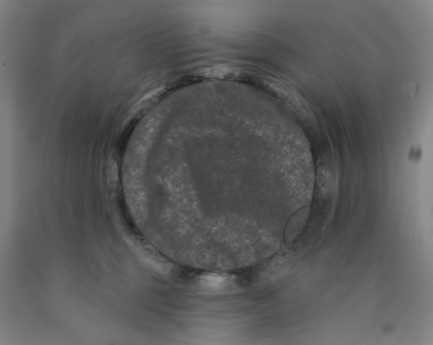 X0000089910375200707271719