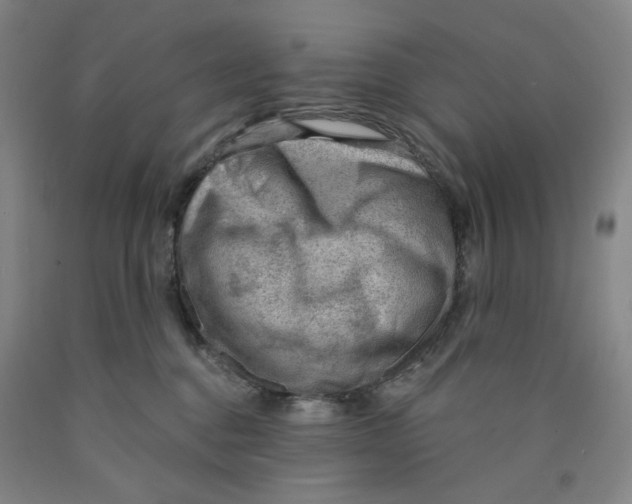 X0000089910376200707271719