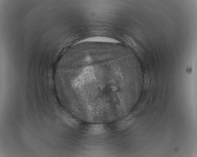 X0000089910377200707271719