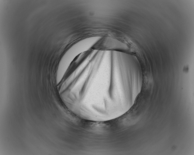 X0000089910379200707271719