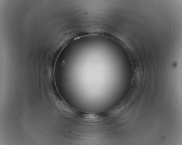 X0000089910380200707271719