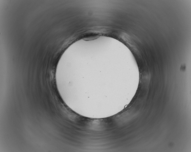 X0000089910382200707271719