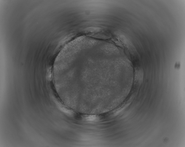 X0000089910383200707271720