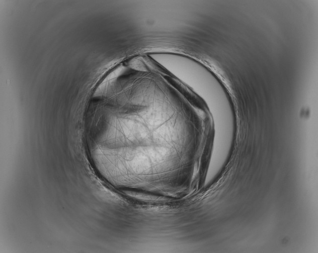 X0000089910385200707271719