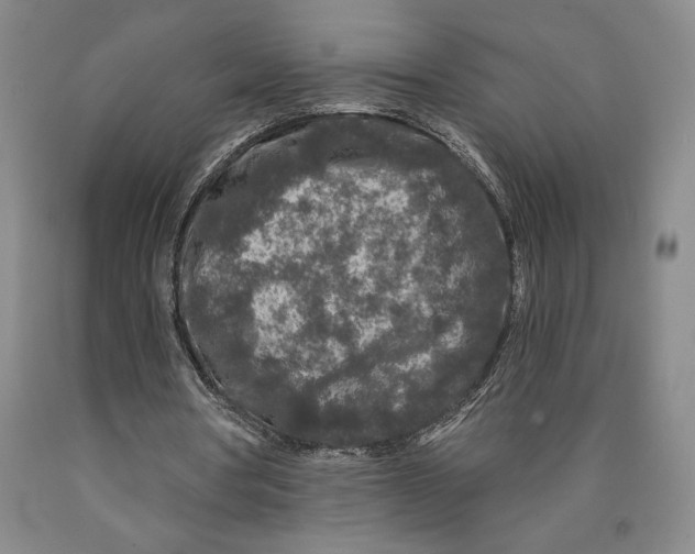 X0000089910386200707271719