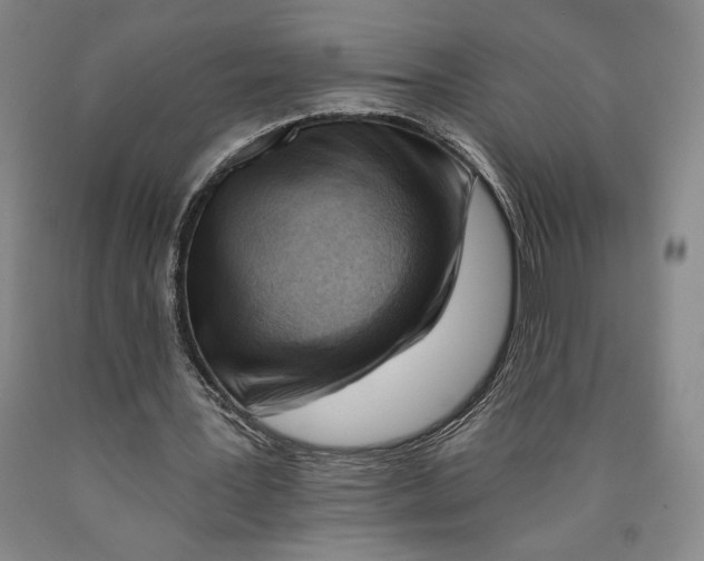 X0000089910387200707271719