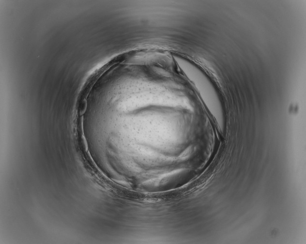 X0000089910388200707271719