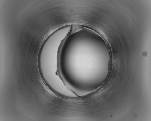 X0000089910389200707271719