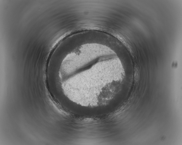 X0000089910390200707271719