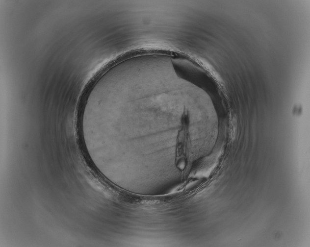 X0000089910391200707271719