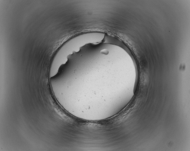 X0000089910393200707271719