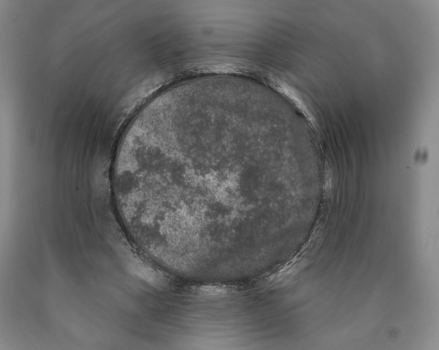 X0000089910394200707271719