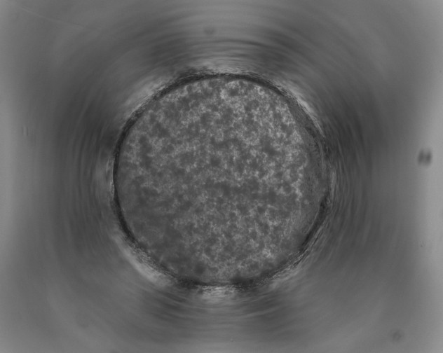 X0000089910398200707271719