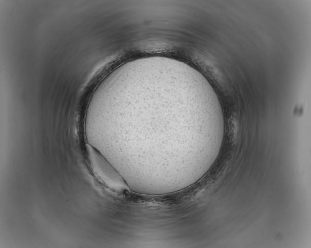 X0000089910400200707271719