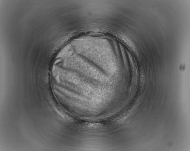 X0000089910401200707271719