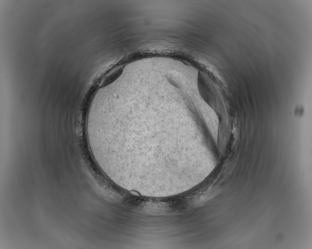 X0000089910403200707271719