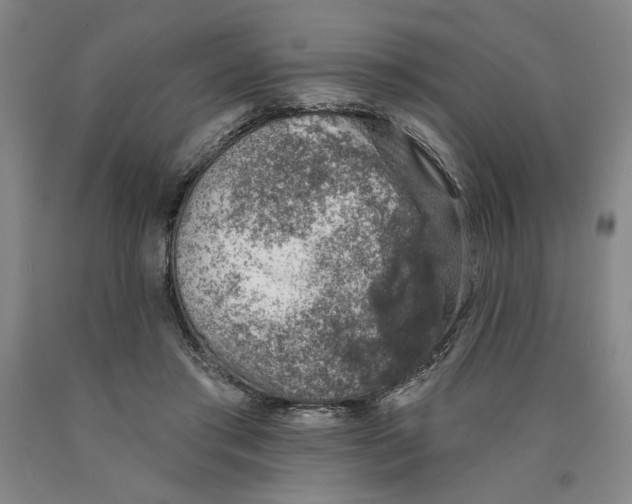 X0000089910405200707271719