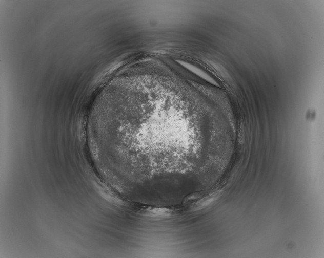 X0000089910409200707271718