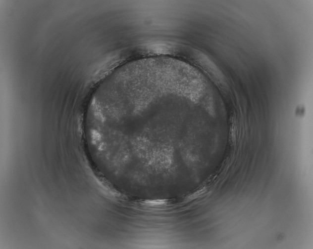 X0000089910410200707271718