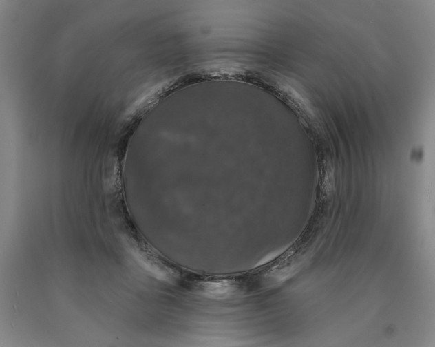 X0000089910411200707271718