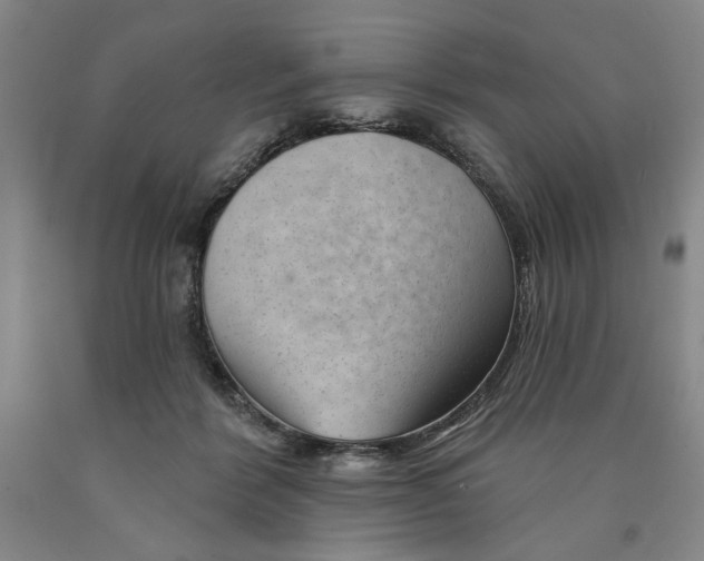 X0000089910412200707271718