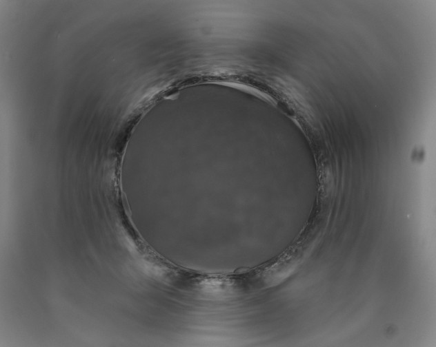 X0000089910415200707271718