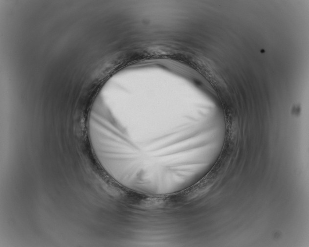 X0000089910418200707271718