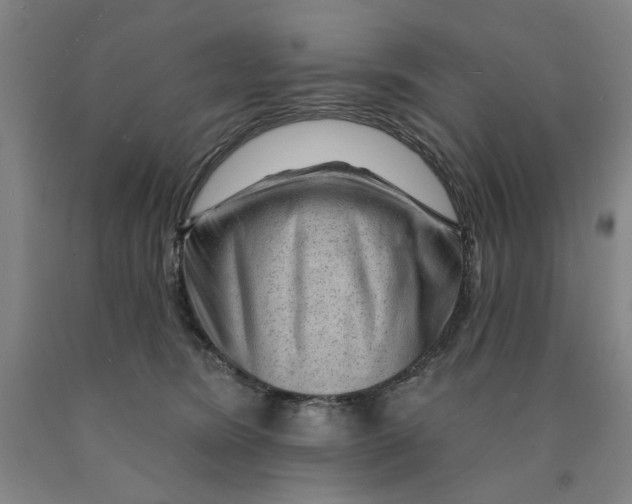 X0000089910420200707271718