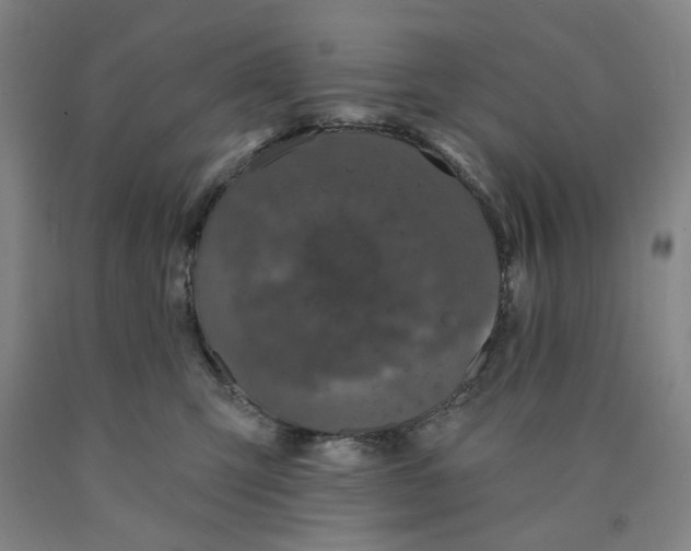 X0000089910423200707271718