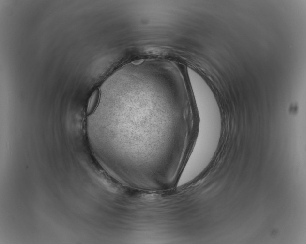 X0000089910424200707271718