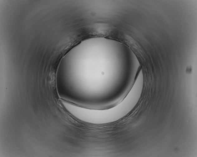 X0000089910425200707271718