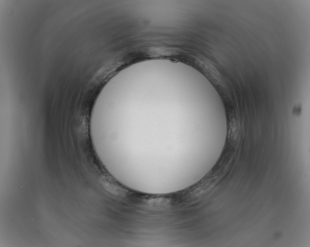 X0000089910426200707271718