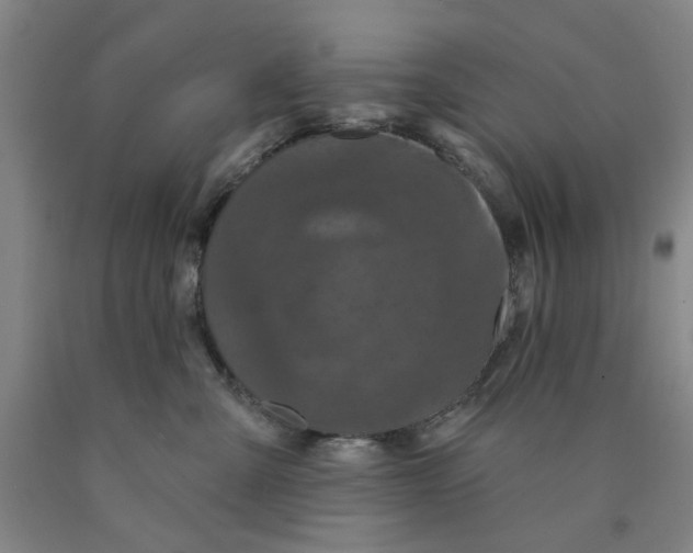 X0000089910427200707271718