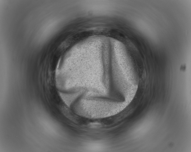 X0000089910430200707271718