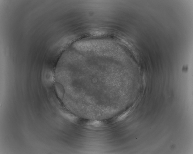 X0000089910431200707271718