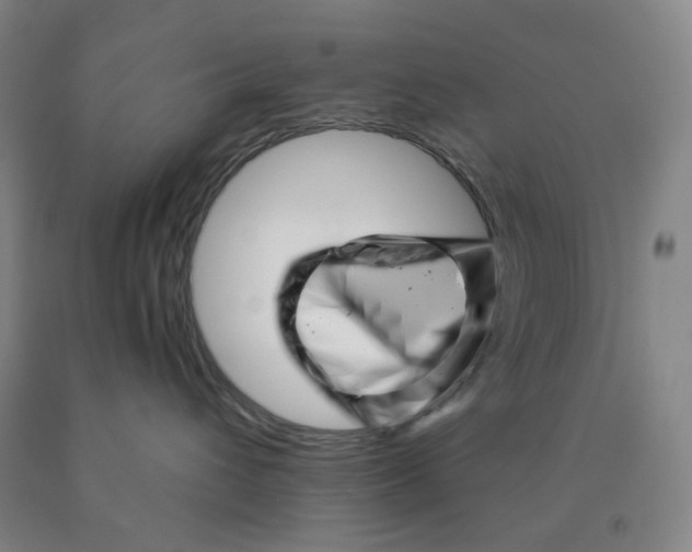 X0000089910432200707271718