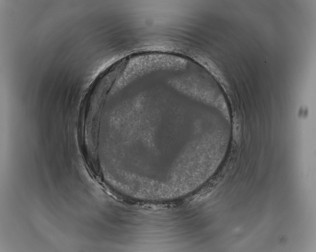 X0000089910434200707271718