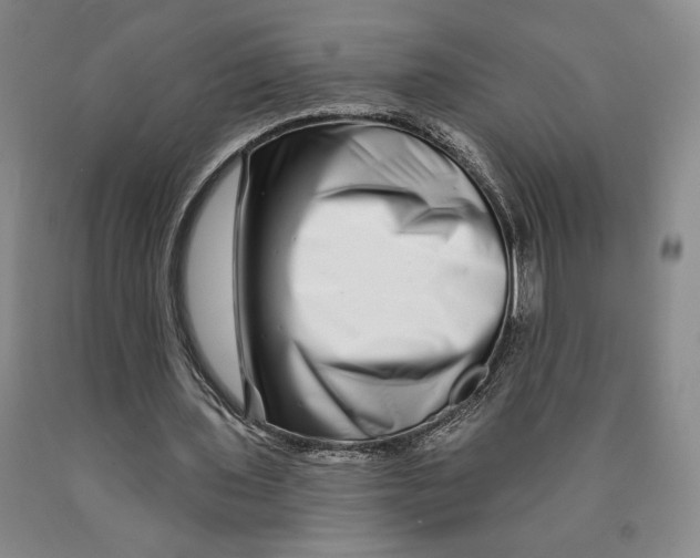 X0000089910435200707271718