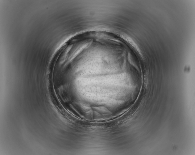 X0000089910436200707271718