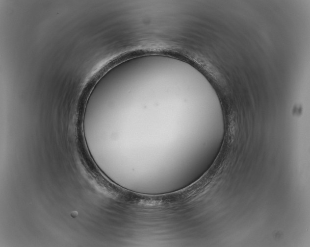 X0000089910440200707271718