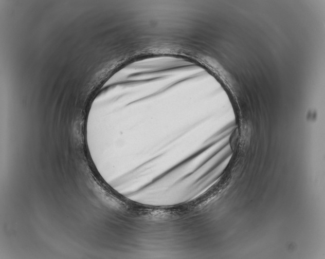 X0000089910441200707271718