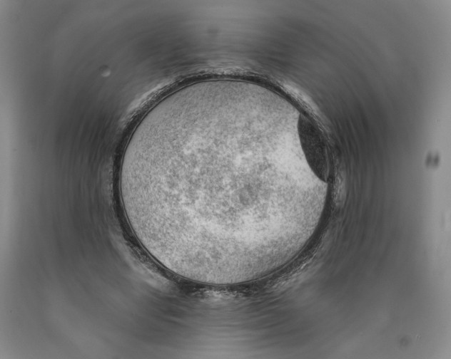 X0000089910442200707271718