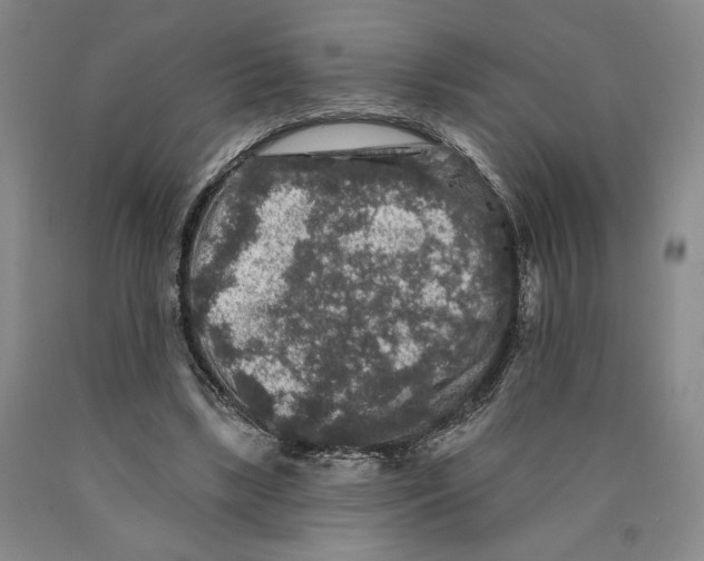 X0000089910443200707271718